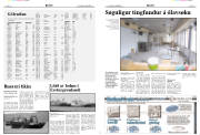 Síða 7