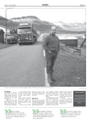 Síða 17