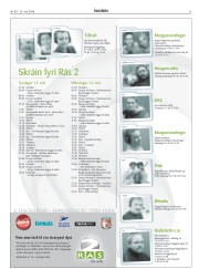 Síða 51