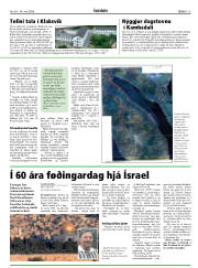 Síða 15