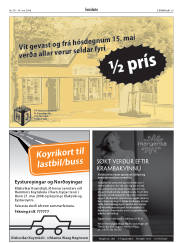 Síða 29