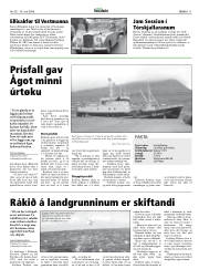 Síða 11