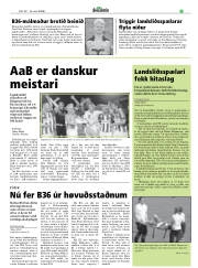 Síða 17