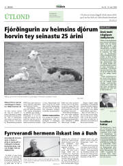 Síða 20