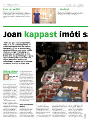 Síða 4