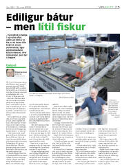 Síða 15