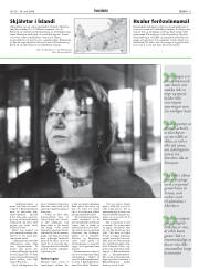 Síða 11