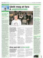 Síða 20