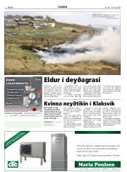 Síða 4