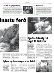 Síða 17