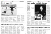 Síða 13
