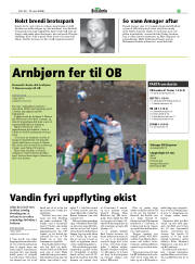 Síða 29