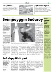 Síða 31