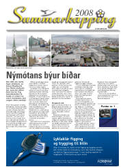 Síða 43