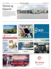 Síða 45
