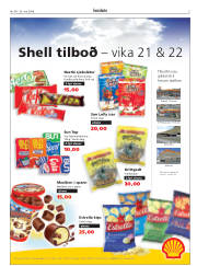Síða 5