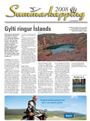 Síða 35