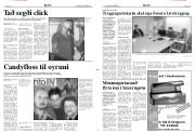 Síða 3