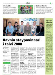 Síða 17