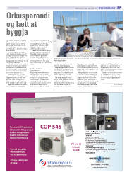 Síða 21