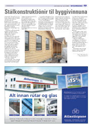 Síða 17
