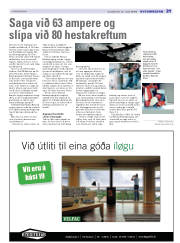 Síða 19