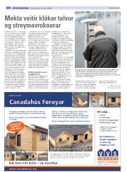 Síða 22