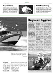 Síða 11