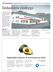 Síða 24