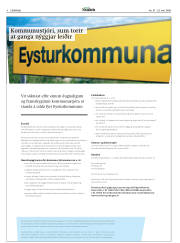 Síða 4