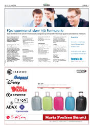 Síða 5