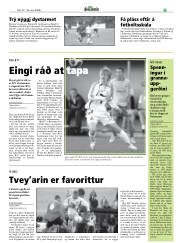 Síða 21