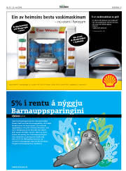Síða 29