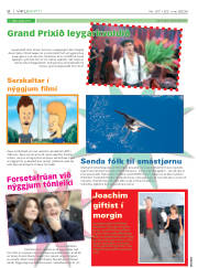 Síða 8
