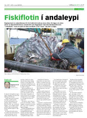 Síða 17