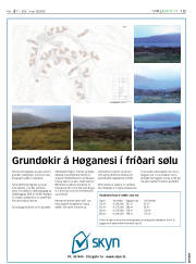 Síða 19