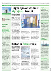 Síða 24