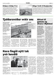 Síða 11