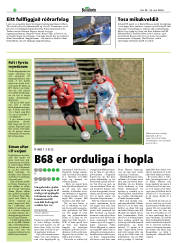Síða 22