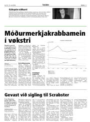 Síða 11