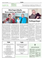 Síða 17