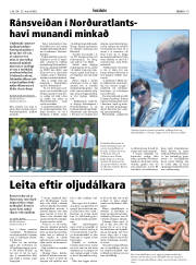Síða 19