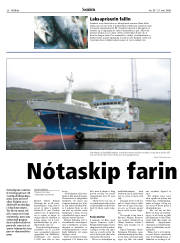 Síða 20