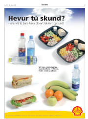 Síða 3