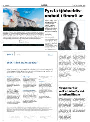 Síða 6