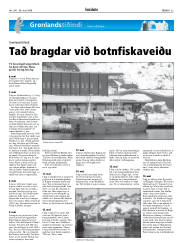 Síða 33