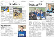 Síða 12