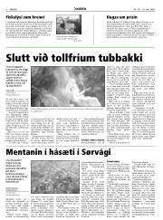 Síða 8