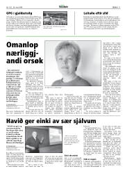 Síða 11