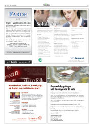 Síða 31
